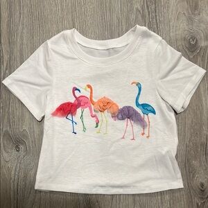 Colorful Flamingo Kids T-Shirt